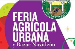 Feria Agrícola Urbana y Bazar Navideño 2019