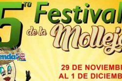 Festival de la Molleja en Humacao 2019