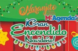 Gran Encendido Navideño en Naranjito 2019