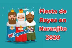 Fiesta de Reyes en Naranjito 2020