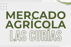 Mercado Agrícola Las Curías