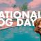 National-Dog-Day-2021-2f-miagendapr