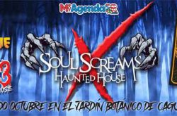 Soul Screams Haunted House 2021
