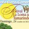 Festival-La-Loma-del-Tamarindo-2021a-miagendapr