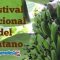 Festival-Nacional-del-Plátano-2021-miagendapr