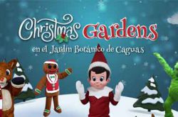 Christmas Gardens en Caguas 2021