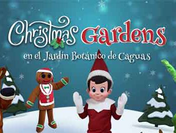 Christmas Gardens en Caguas 2021