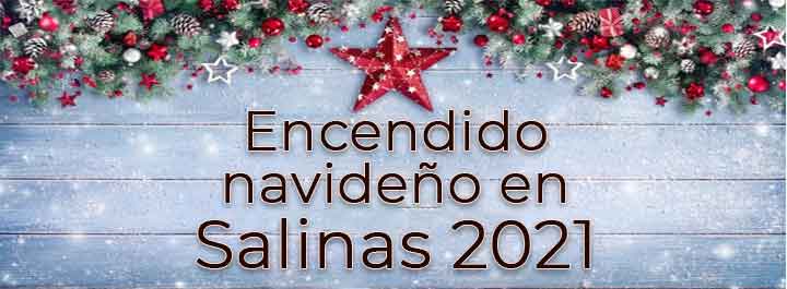 Encendido Navideño en Salinas 2021