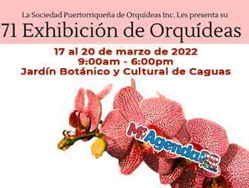 Exhibición de Orquídeas en Caguas 2022