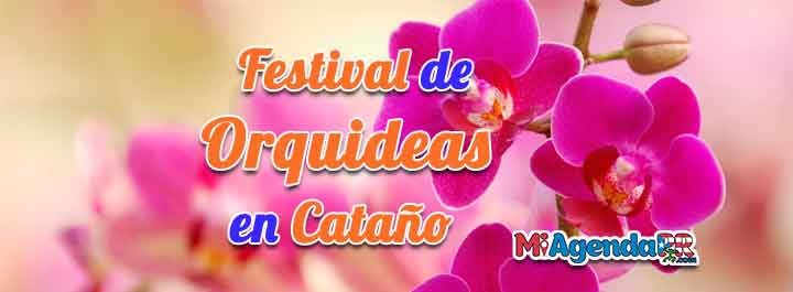 Festival de Orquídeas en Cataño 2022