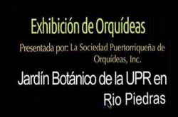 Exhibición Orquídeas Jardín Botánico 2022