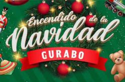 Encendido Navideño en Gurabo 2022