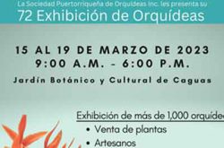 Exhibición de Orquídeas en Caguas 2023