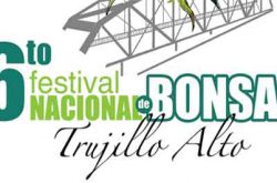 6to Festival Nacional de Bonsai 2023