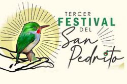 3er Festival del San Pedrito 2023
