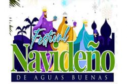 Festival Navideño de Aguas Buenas 2023