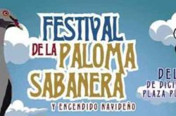 Festival de La Paloma Sabanera 2023