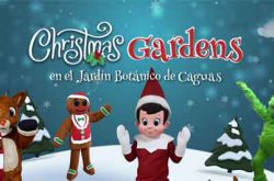 https://www.facebook.com/christmasgardenscaguas/