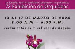 Exhibición de Orquídeas en Caguas 2024