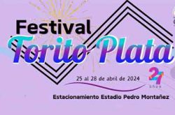 Festival Torito Plata en Cayey 2024