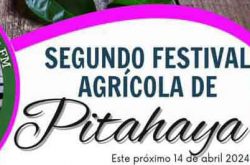 Festival Agrícola de Pitahaya en Manatí 2024