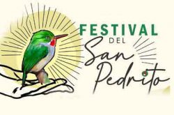 4to Festival del San Pedrito 2024