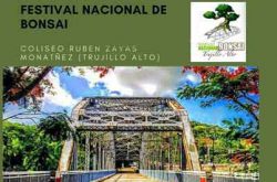 8vo Festival Nacional de Bonsai 2025