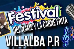 Festival del Ñame y La Carne Frita 2025